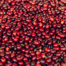 Įkelti vaizdą į galerijos rodinį, NO25 COLOMBIA SWEET VALLEY