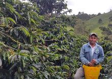 Įkelti vaizdą į galerijos rodinį, NO10 COLOMBIA LA CABANA